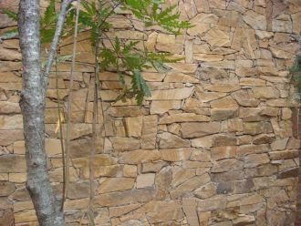 Muro Ocre Cuyano realzando la pared de un patio.